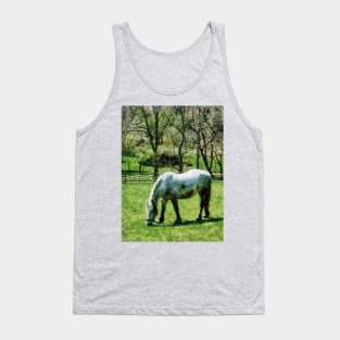 Horses - Appaloosa in Pasture Tank Top